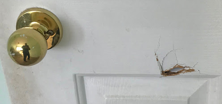 interior door hole repair San Jacinto